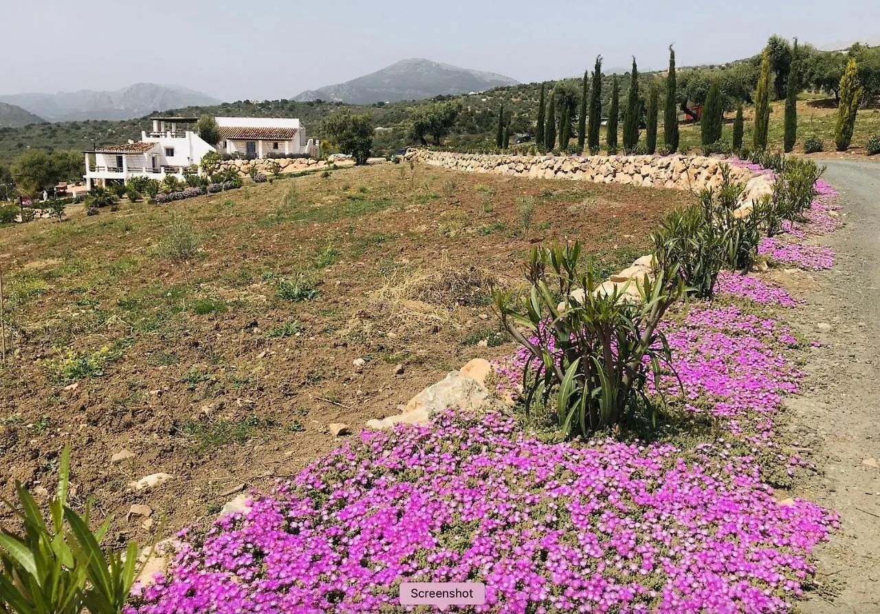 Guest house Finca Zayas Casa Rural & Guest Suites Periana